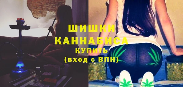 индика Вязники
