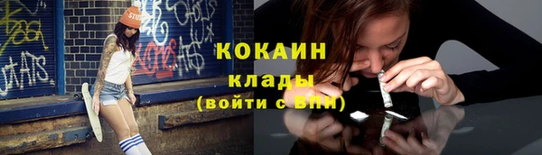 индика Вязники