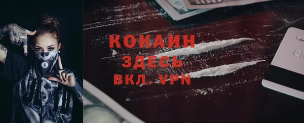 индика Вязники