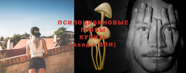 соль ск Вяземский