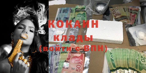 индика Вязники