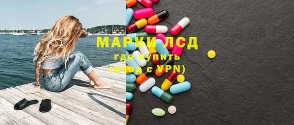 индика Вязники