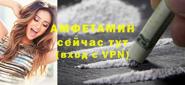 индика Вязники