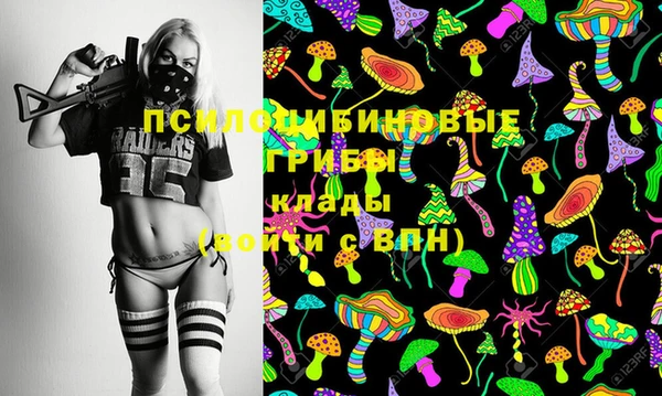 стаф Михайловка